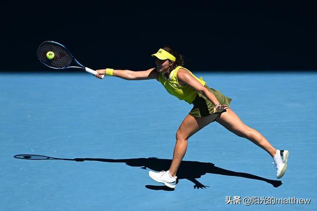 治力的公牛 治力的公牛