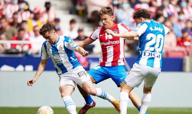 更难以断定 更难以断定